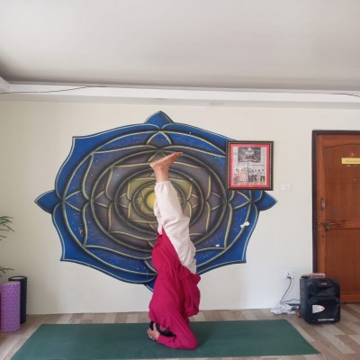 300 Hour Yoga Teacher Training in Nepal